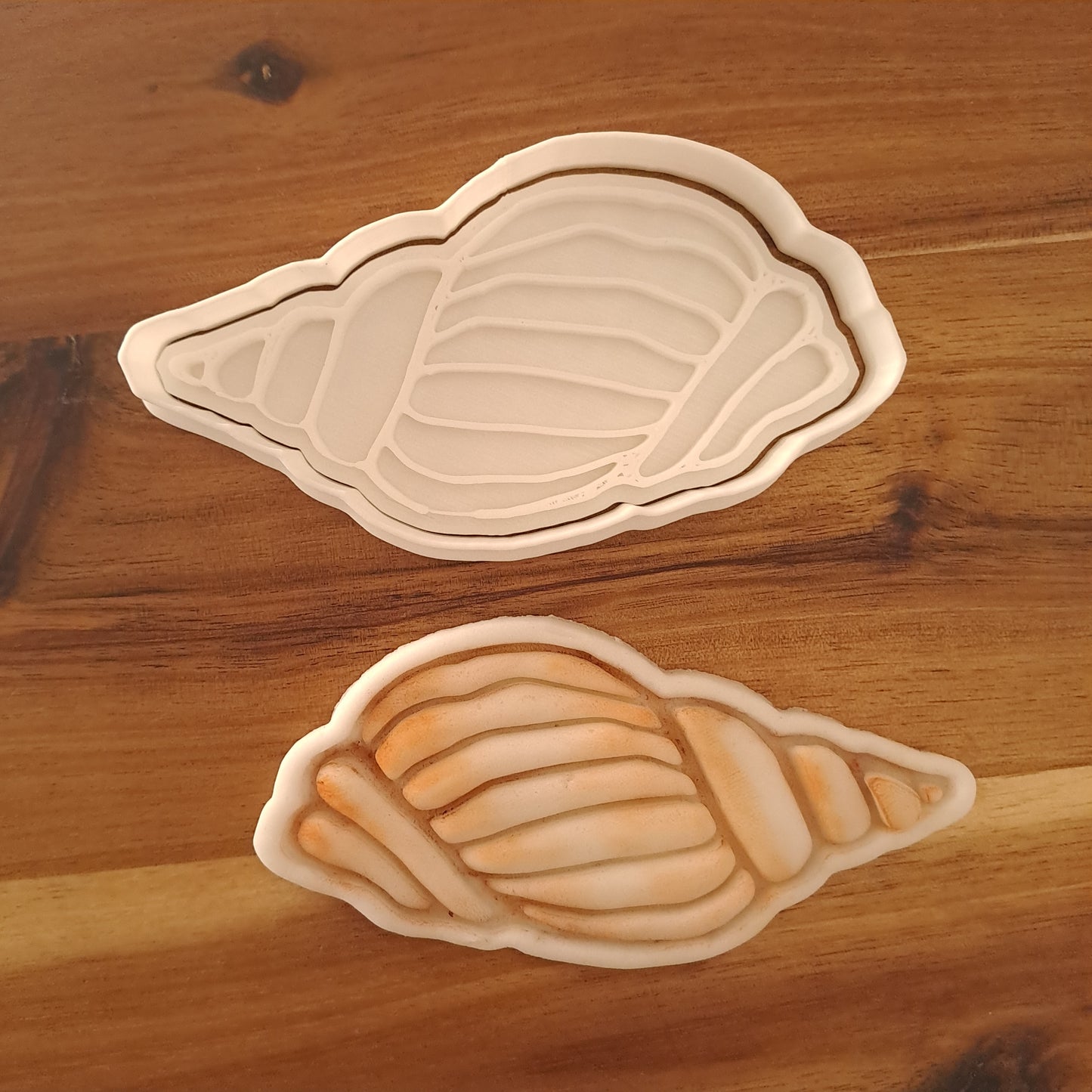 Sea Shell - Sea - Summer - Cookies Cutter - Mold - Mould